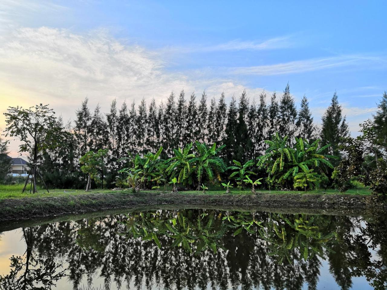 On Green Resort Ban Huai Sua Extérieur photo